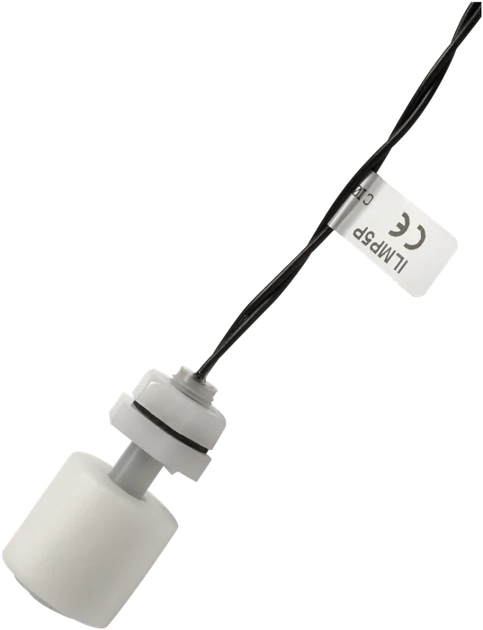 ILMP5P
