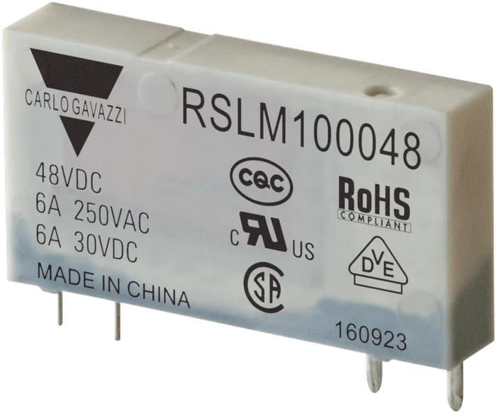 RSLM100048