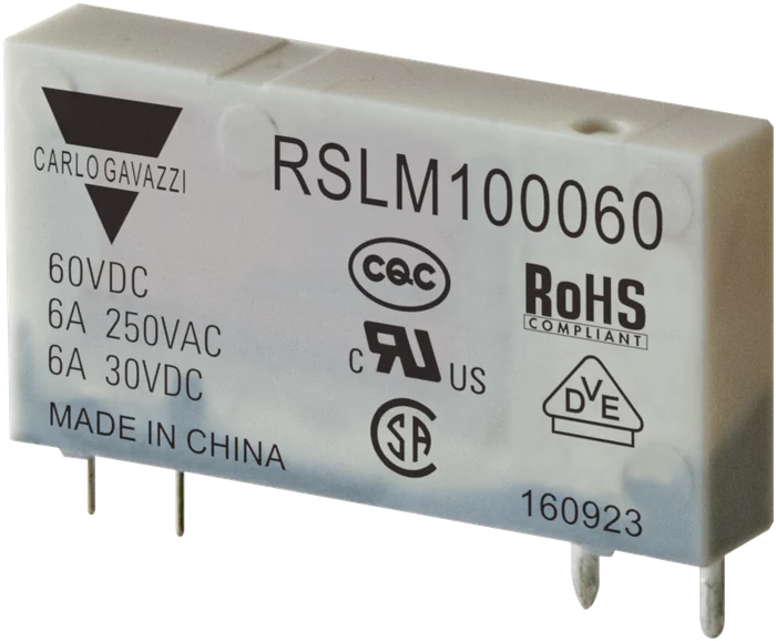 RSLM100060