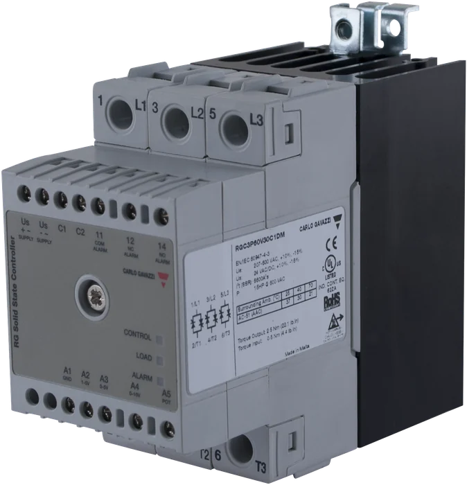 RGC2P60V25C1DM