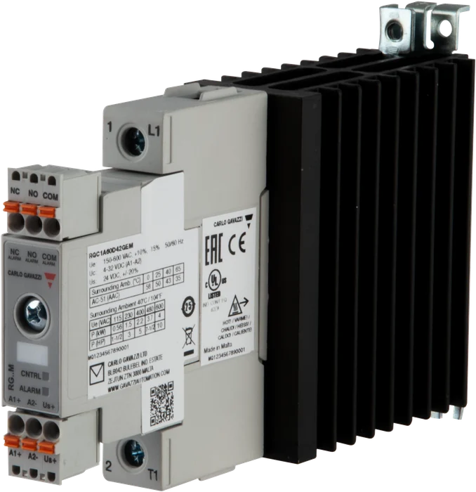 RGC1A60D42GEM