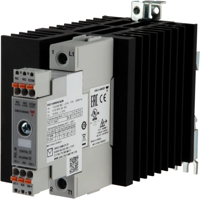 RGC1A60D62GEM