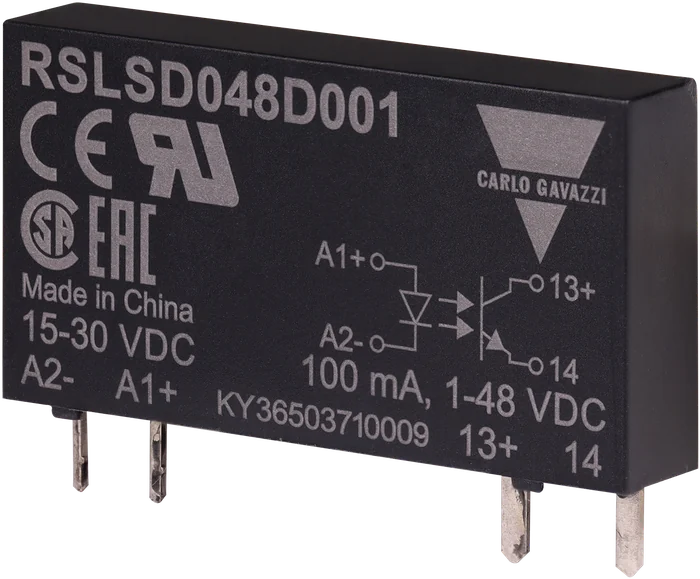 RSLSD048D001