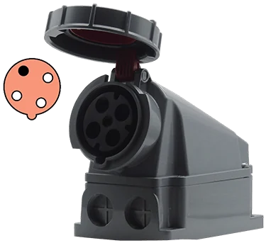 D43S46