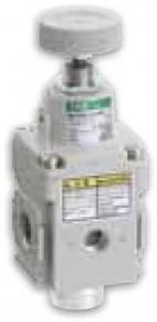 RPE1000-P4